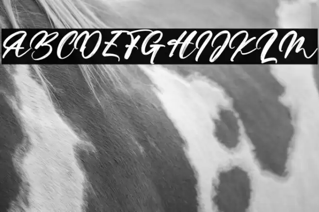 Mountain Hills Font examples