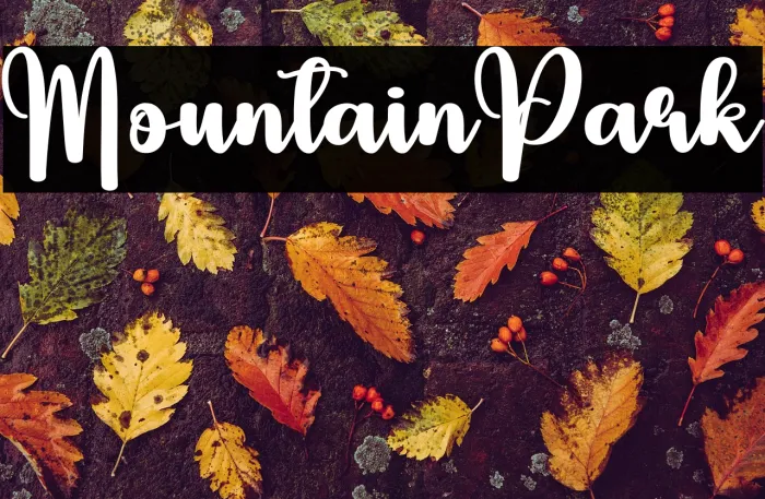 Mountain Park Example 2