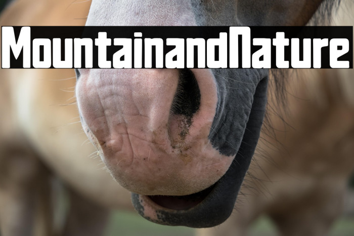 Mountain and Nature Example 3