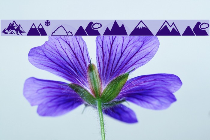 Mountain Font examples