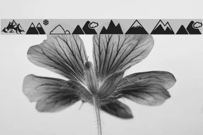 Mountain Example 2