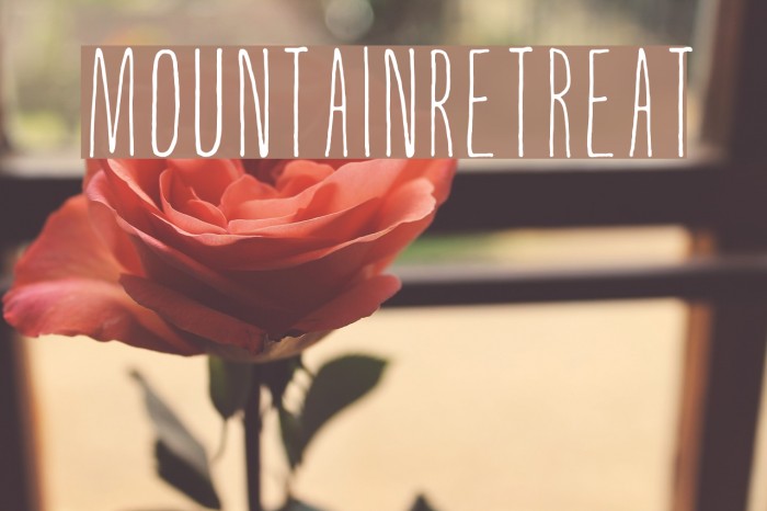 MountainRetreat Example 1