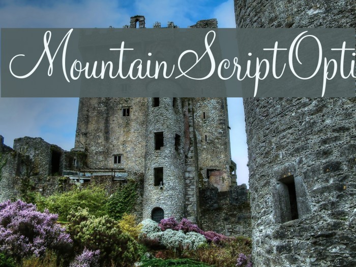MountainScriptOpti Font examples