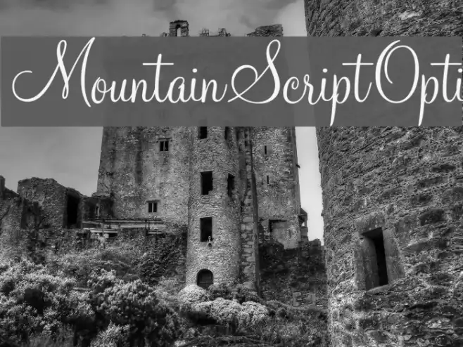 MountainScriptOpti Example 2