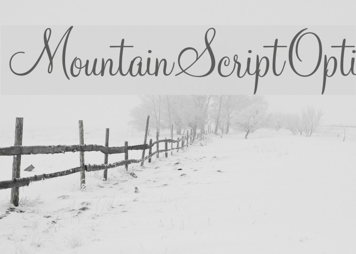 MountainScriptOpti Font examples