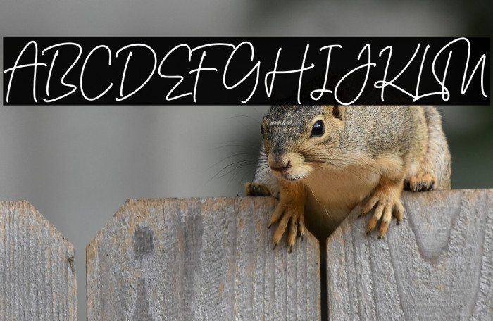 Mountey Kalinas Example 1