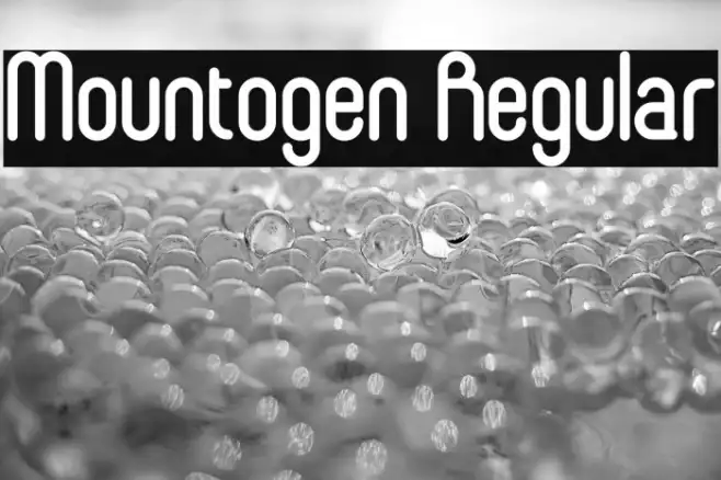 Mountogen Regular Example 1