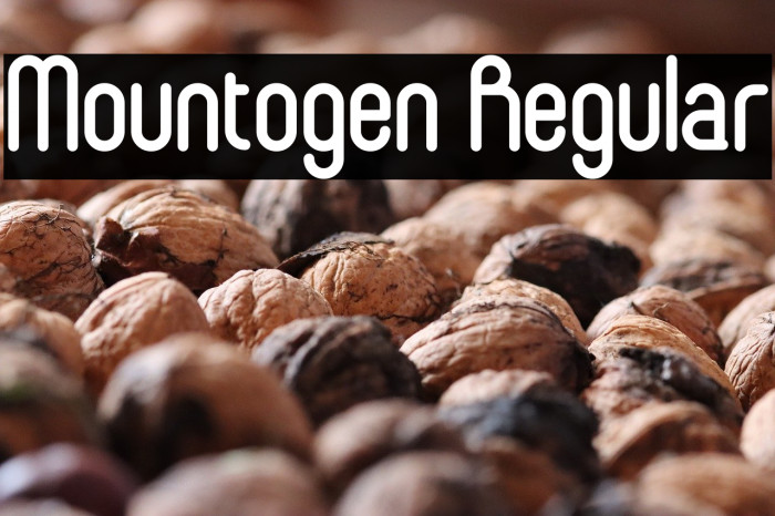 Mountogen Regular Example 3
