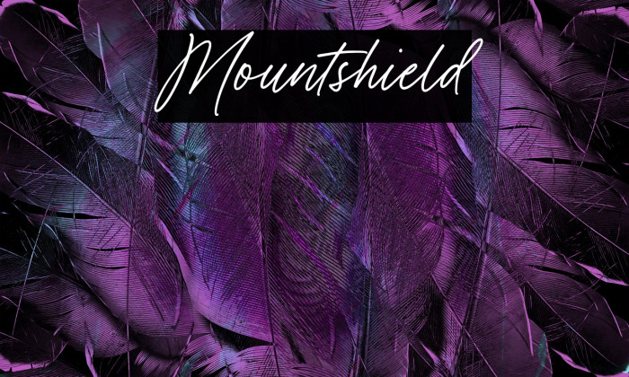 Mountshield Example 1