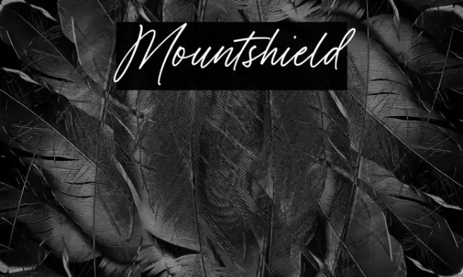 Mountshield Example 1
