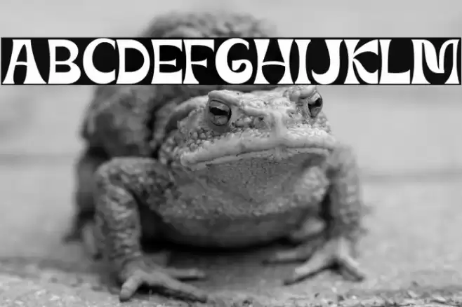 Mourghan Regular फ़ॉन्ट examples