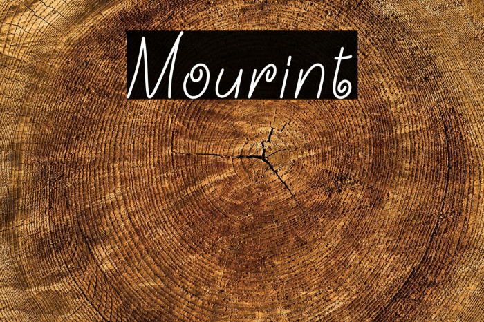 Mourint Example 3
