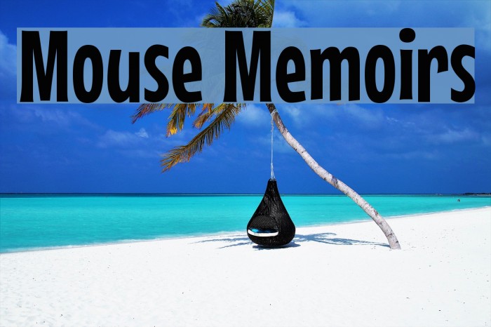 Mouse Memoirs Font examples