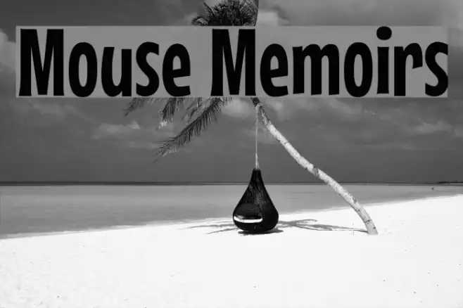 Mouse Memoirs Example 3
