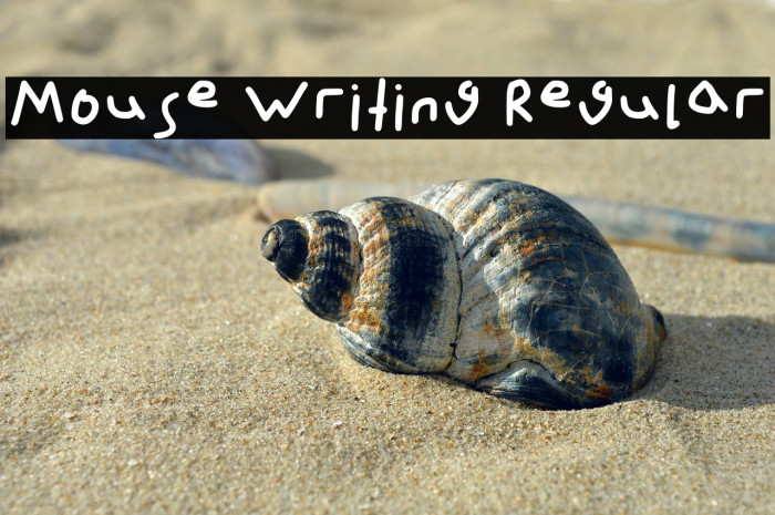 Mouse Writing Regular Example 1