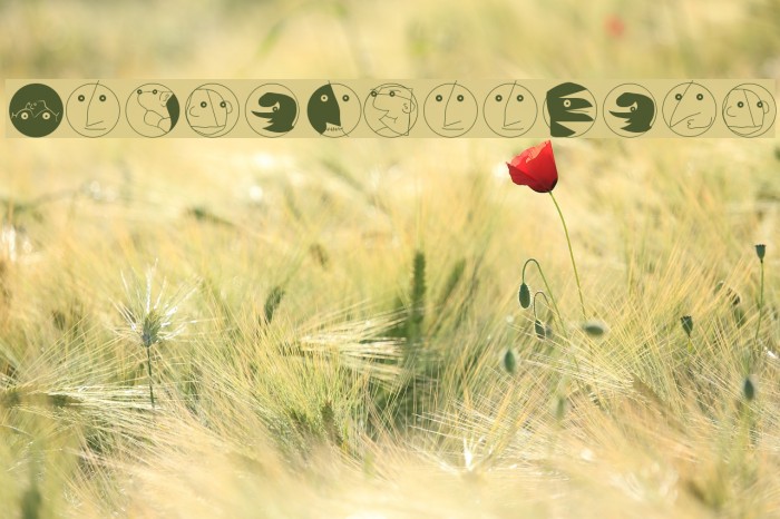 MouseDroodels Font examples