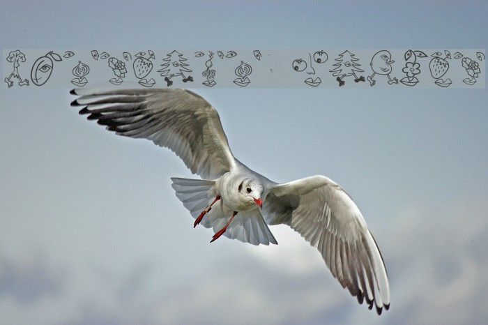 MouseFruitFaces Example 1