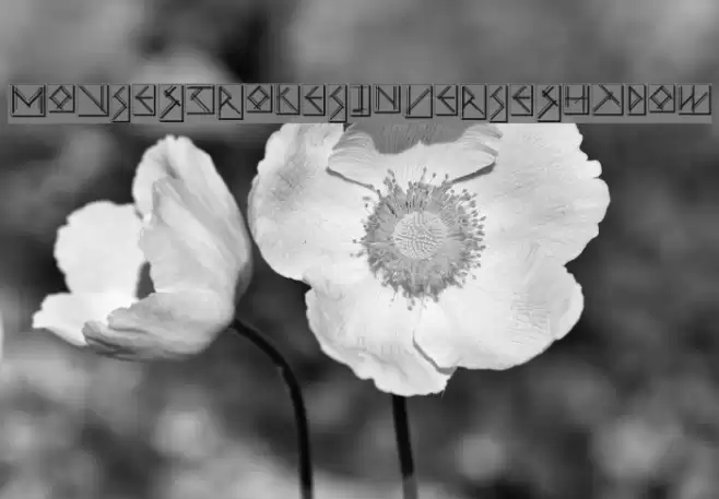 MouseStrokesInverseShadow Font examples