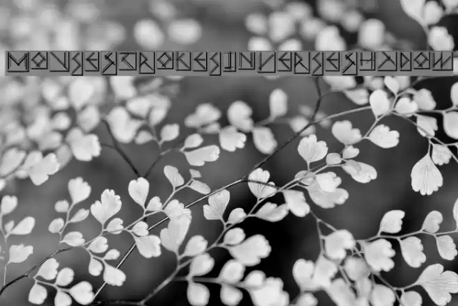 MouseStrokesInverseShadow Font examples