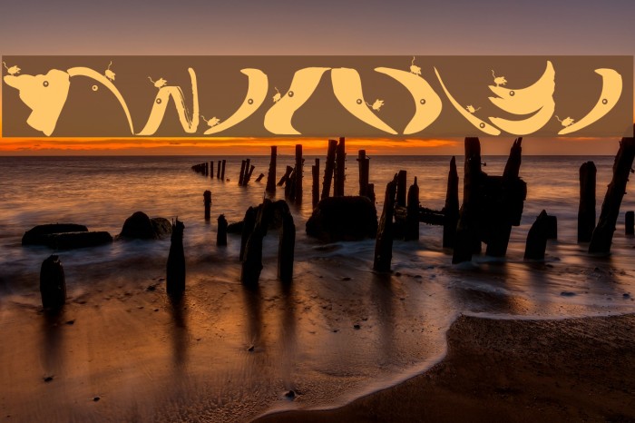 MouseTraps Example 1