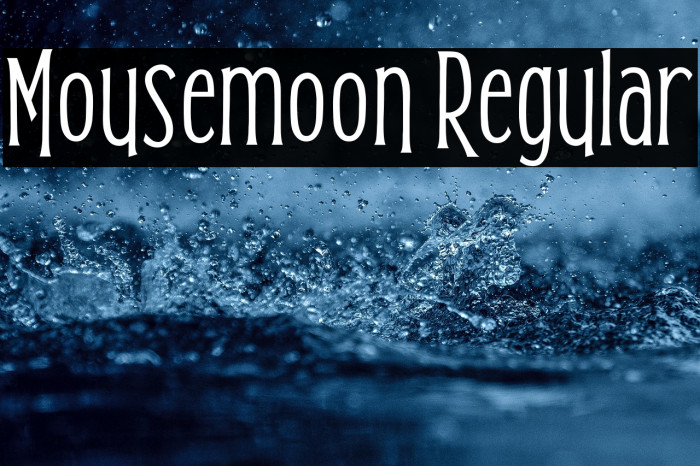 Mousemoon Regular Example 1