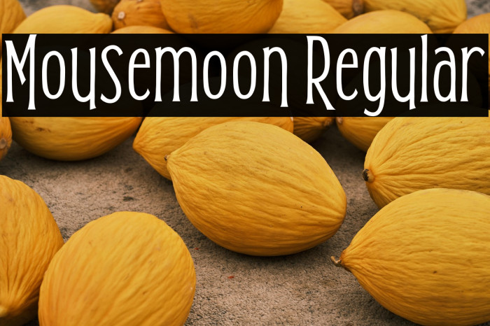 Mousemoon Regular Example 3