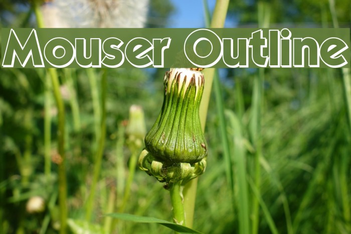 Mouser Outline Font examples