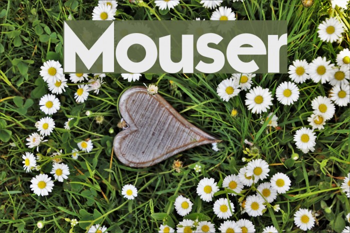 Mouser Font examples