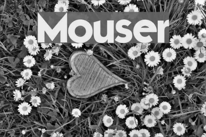 Mouser Font examples