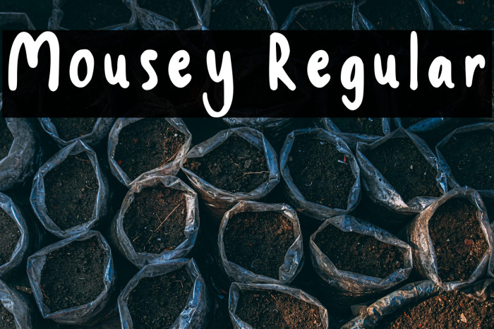 Mousey Regular Example 1