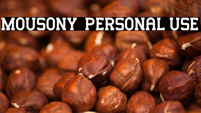 Mousony - Personal Use Example 1