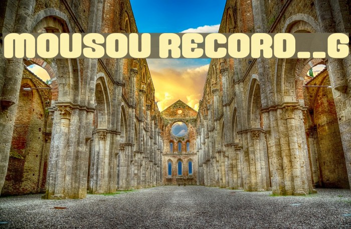 Mousou Record__G Font examples