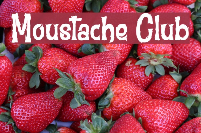 Moustache Club Example 2