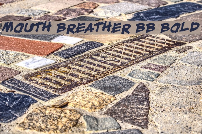 Mouth Breather BB Bold Font examples
