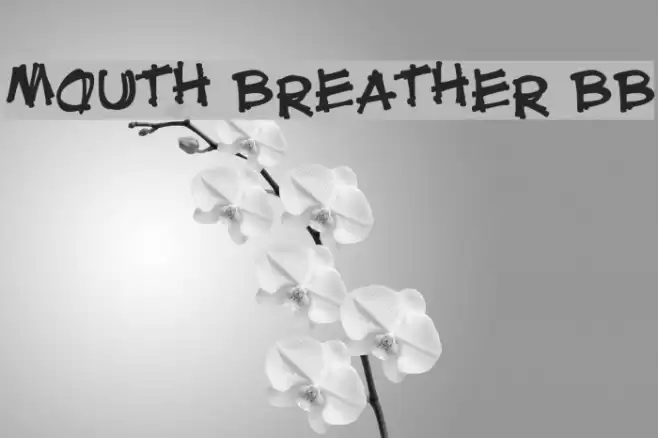 Mouth Breather BB Font examples