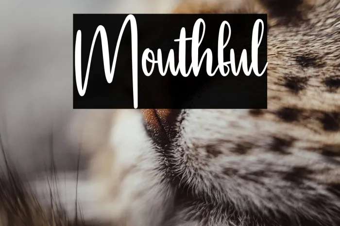 Mouthful Example 2