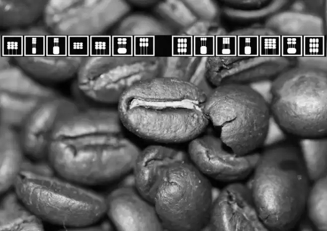 Mouvman Regular Caratteri examples