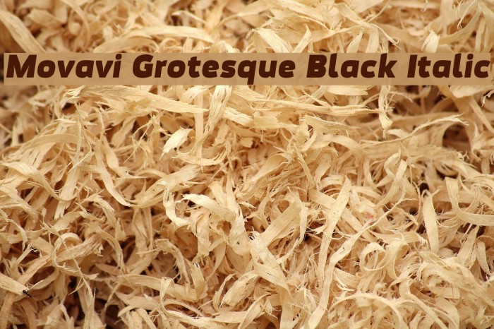 Movavi Grotesque Black Italic Font examples