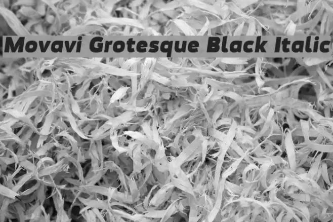 Movavi Grotesque Black Italic Шрифта examples