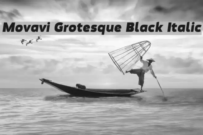 Movavi Grotesque Black Italic Шрифта examples