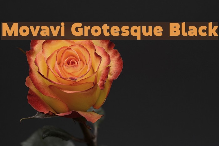 Movavi Grotesque Black Font examples
