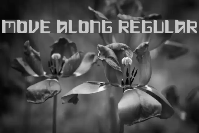 Move Along Regular Font examples