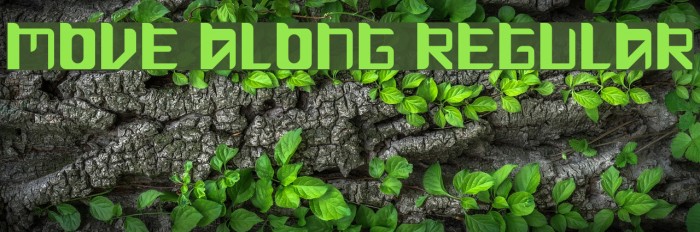 Move Along Regular Example 3