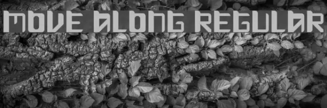 Move Along Regular Font examples