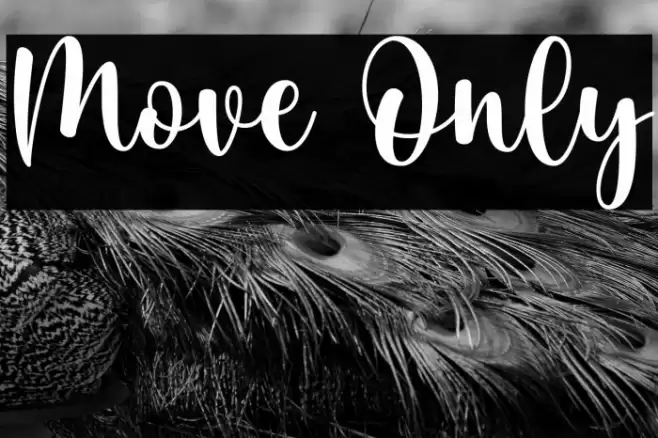 Move Only Font examples