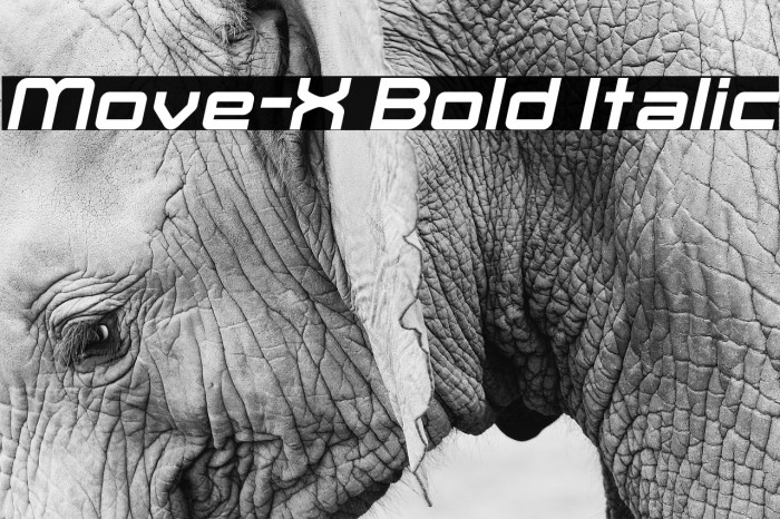 Move-X Bold Italic Font examples