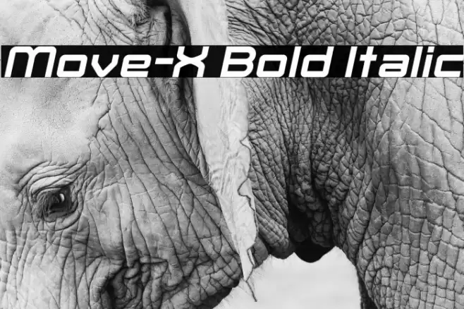 Move-X Bold Italic examples