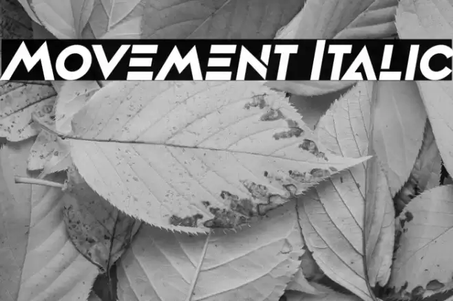 Movement Italic Font examples