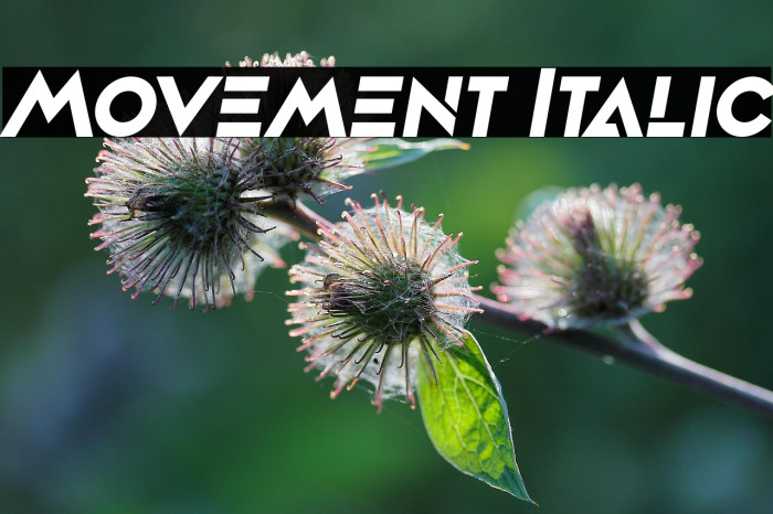 Movement Italic Example 2