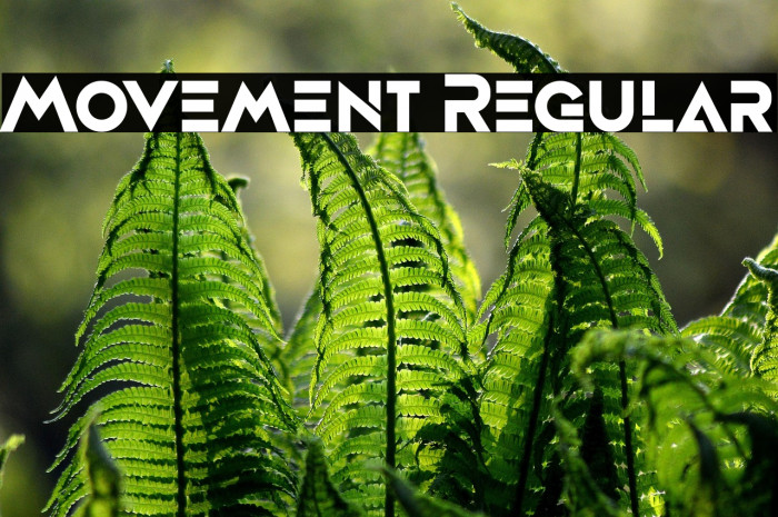 Movement Regular Example 3